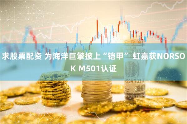 求股票配资 为海洋巨擎披上“铠甲” 虹嘉获NORSOK M501认证