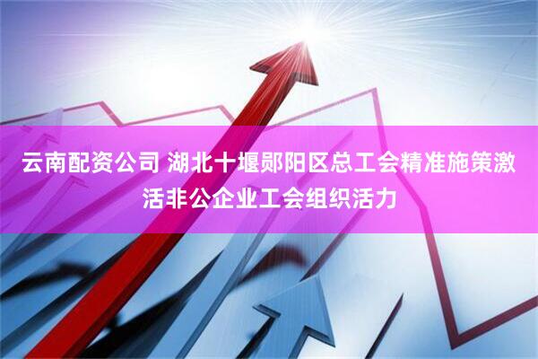 云南配资公司 湖北十堰郧阳区总工会精准施策激活非公企业工会组织活力