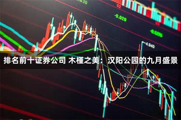 排名前十证券公司 木槿之美：汉阳公园的九月盛景