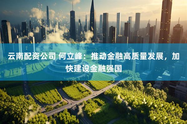 云南配资公司 何立峰：推动金融高质量发展，加快建设金融强国